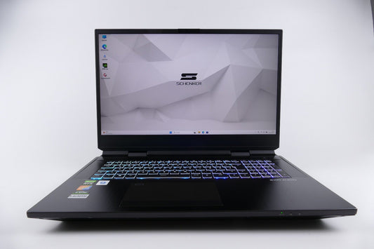Schenker DTR 17 X170SM-G 17,3 Zoll Notebook i9-10900K 64GB RAM Neue 2TB NVMe W11