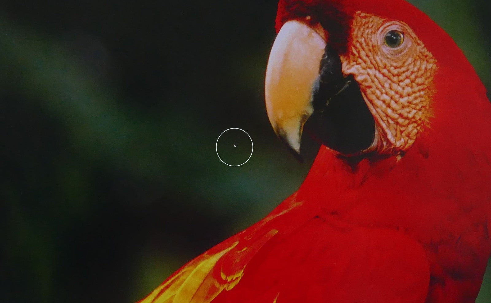 HP zBook Fury 17 G7 - 17,3 Zoll Workstation i7-10850H 1,5TB SSD 64GB RAM RTX4000